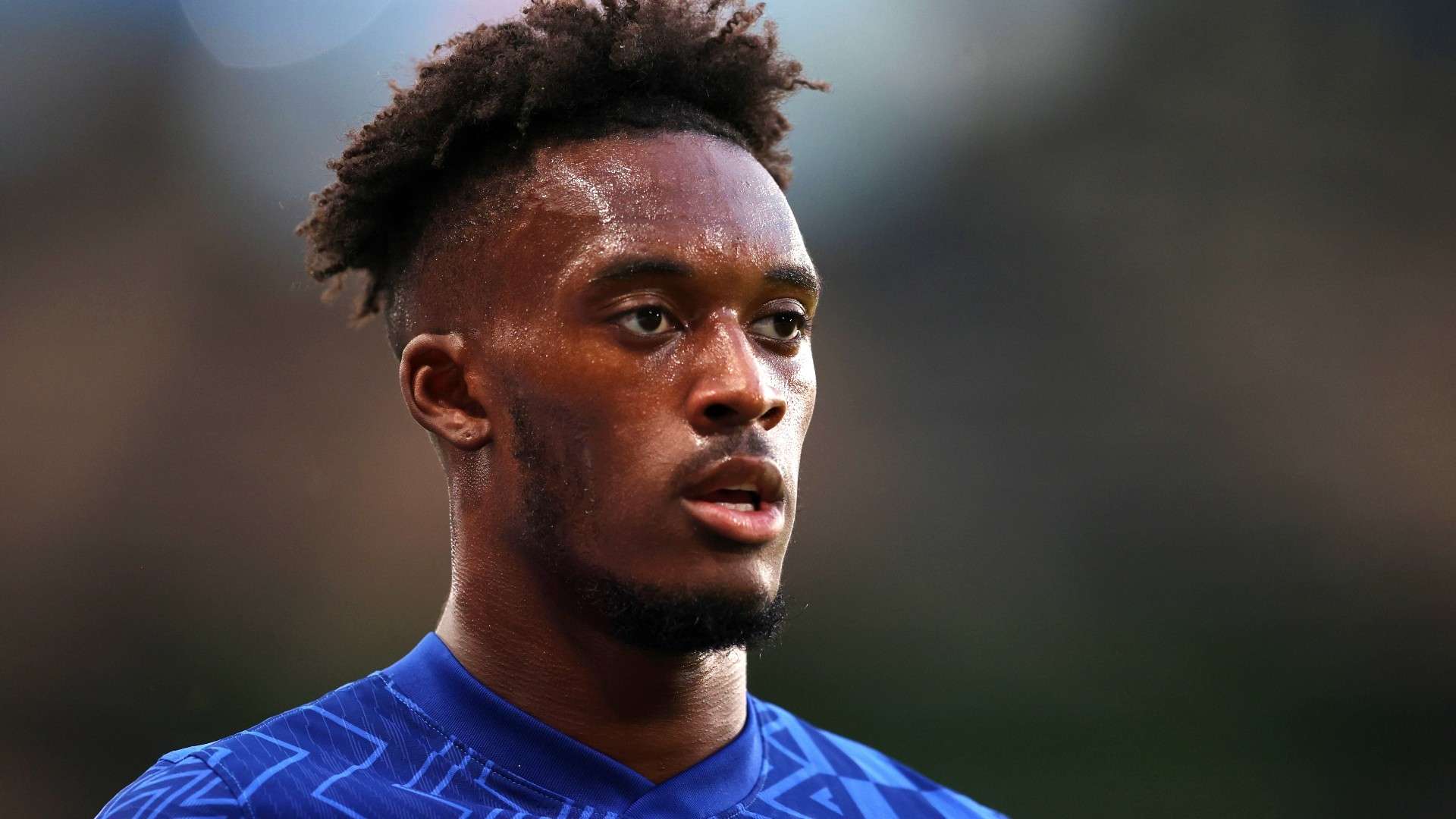 国的寒风中 国的寒风中